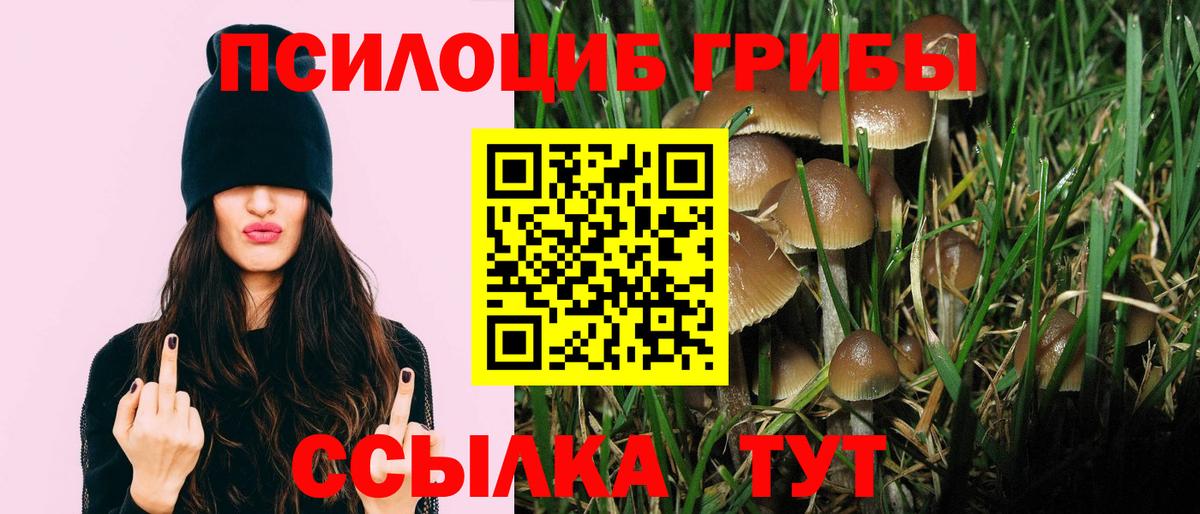 Галлюциногенные грибы мухоморы  Вход с VPN  Беслан  Галлюциногенные грибы Psilocybe 