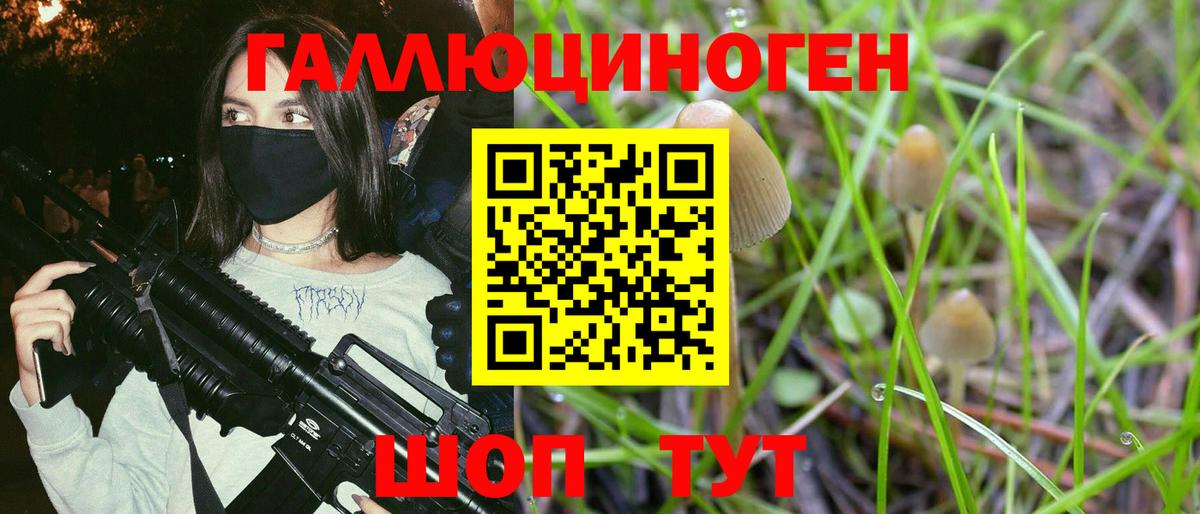 Галлюциногенные грибы мухоморы Беслан